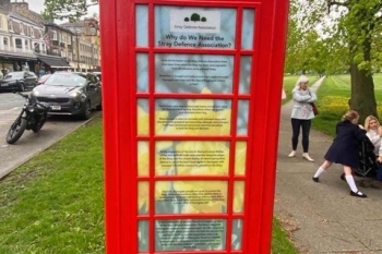 MicrosoftTeams-image-4